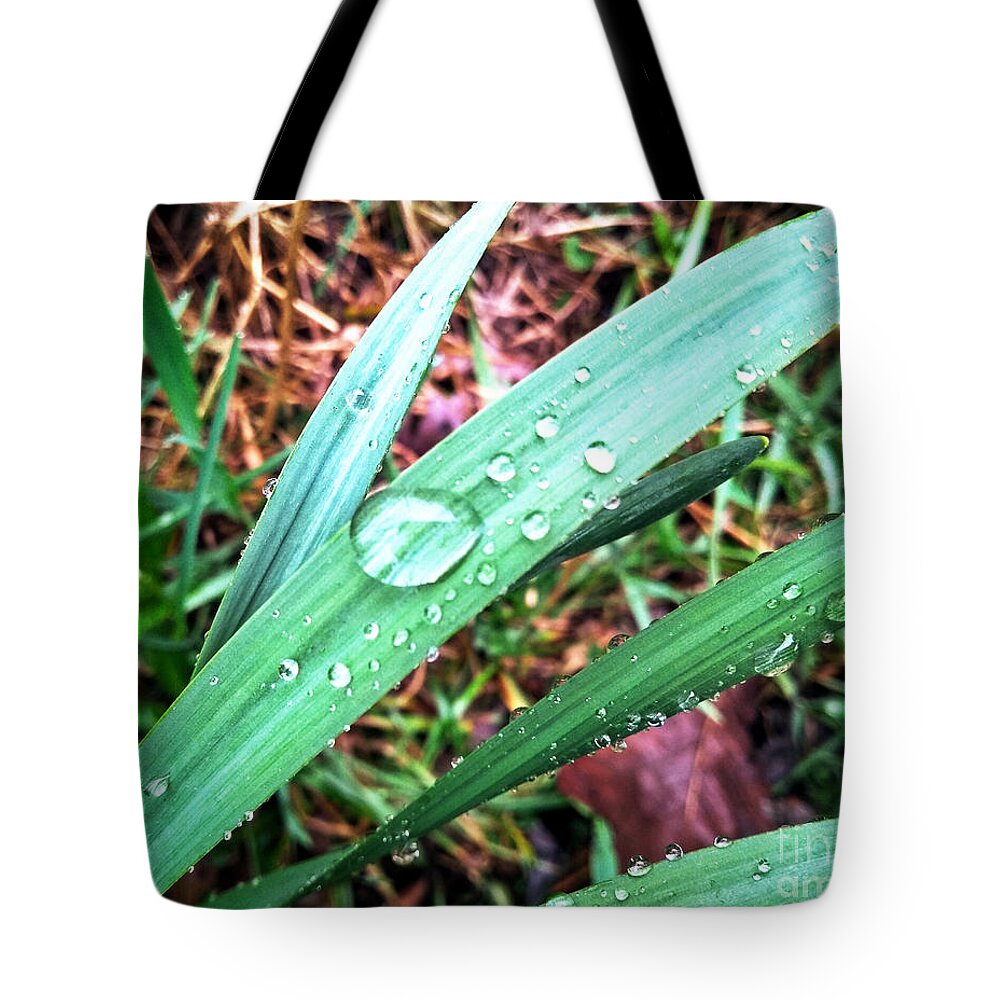 Water Tote Bag featuring the photograph Droplets by Robert Knight