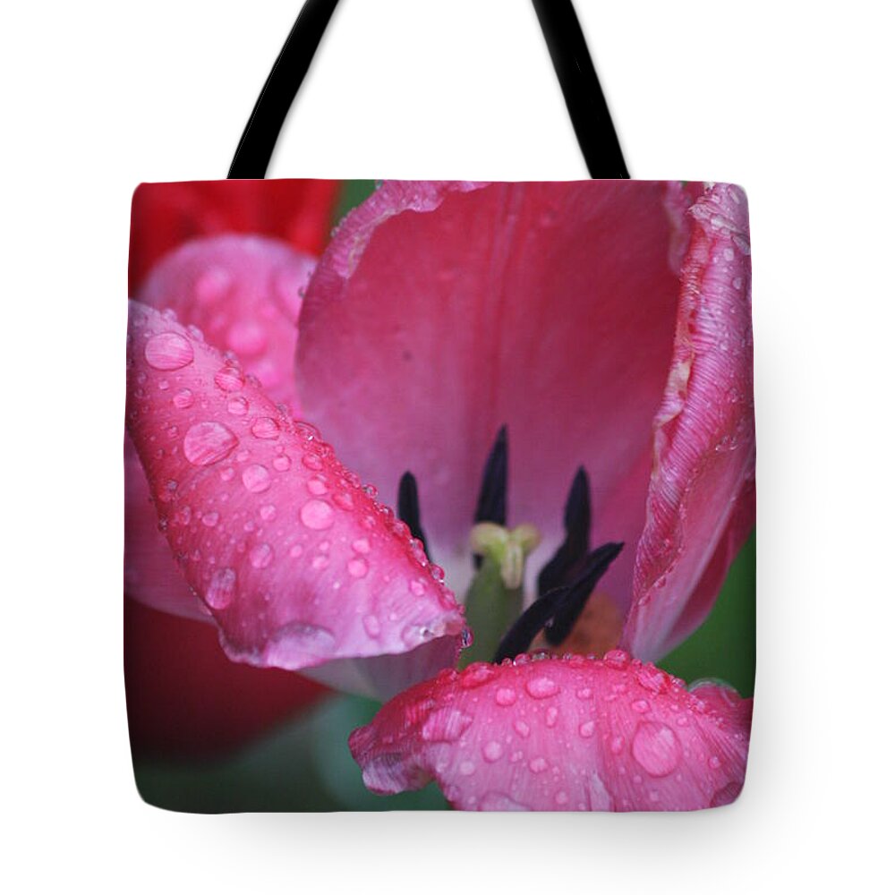 Tulip Tote Bag featuring the photograph Drops of Spring by Vadim Levin