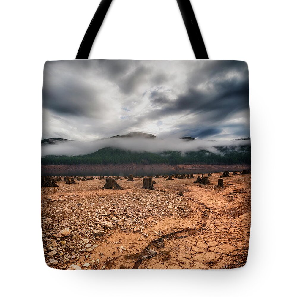 Lake Detroit Tote Bag featuring the photograph Drought by Ryan Manuel