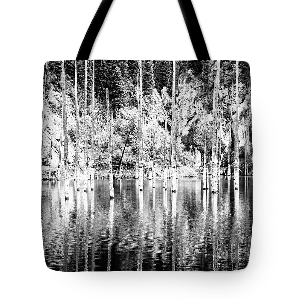 Forest Tote Bag featuring the photograph Drowned by Dominic Piperata