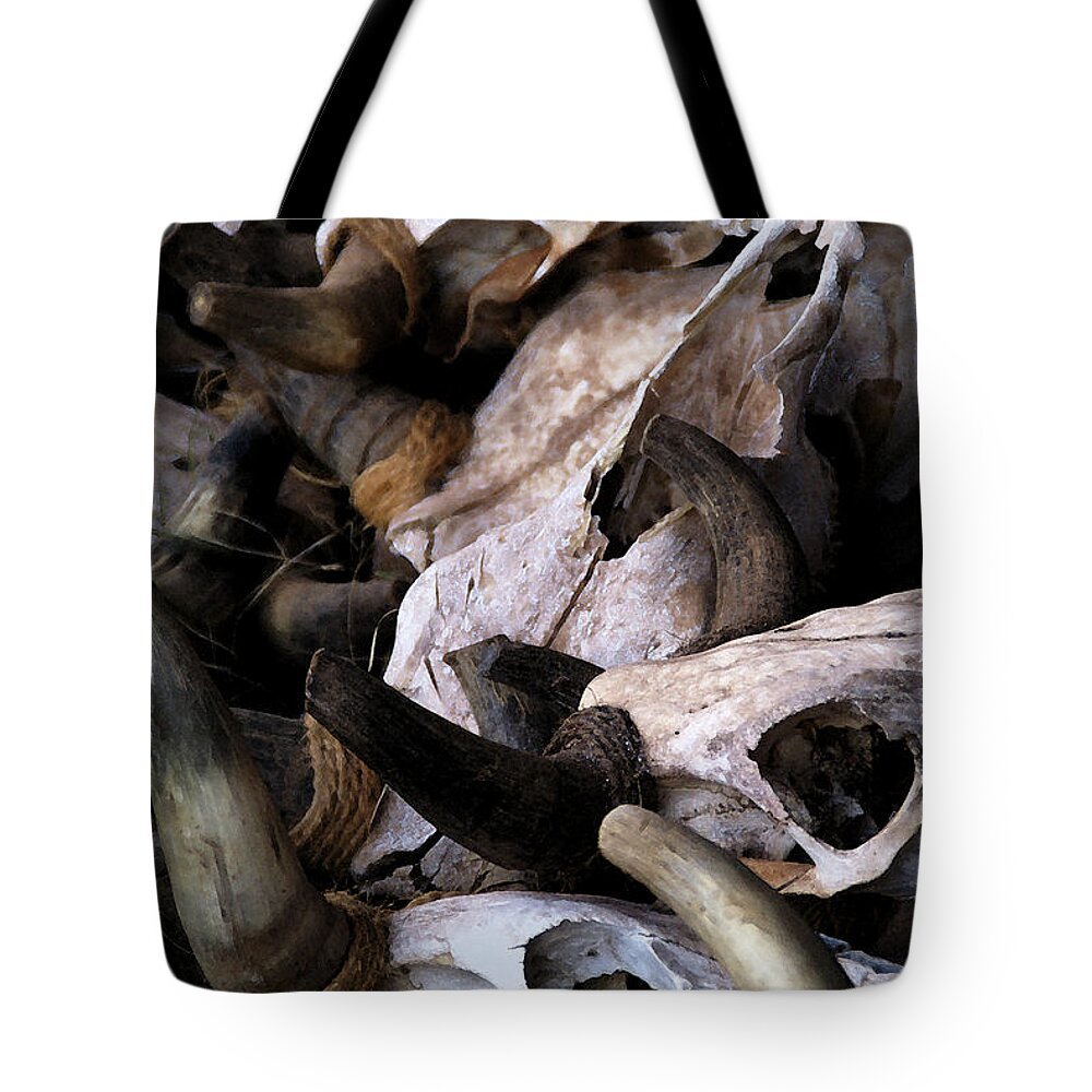 Bones Tote Bag featuring the photograph Dry As Bones by Linda Shafer
