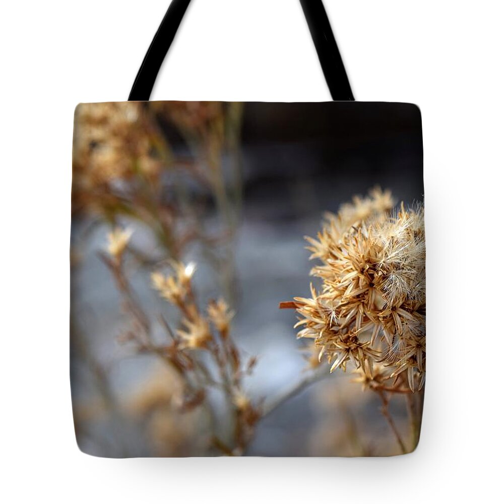 Dry Flower Tote Bag featuring the photograph Dry December by Michael Brungardt