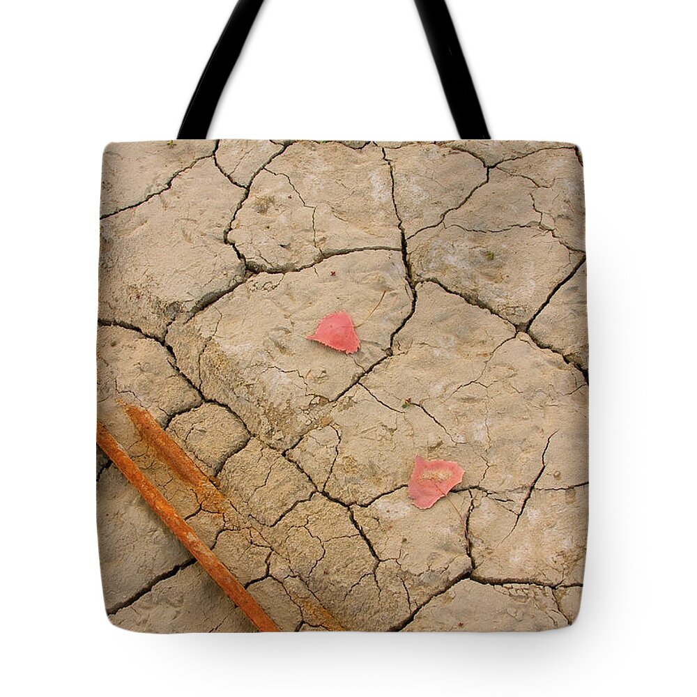 Abstracts Tote Bag featuring the photograph Dry Lake Bed Abstract by James BO Insogna