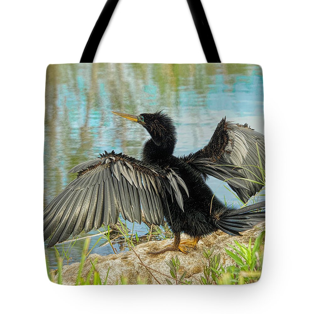 Aquatic Birds Tote Bag featuring the photograph Drying Out by Judy Kay