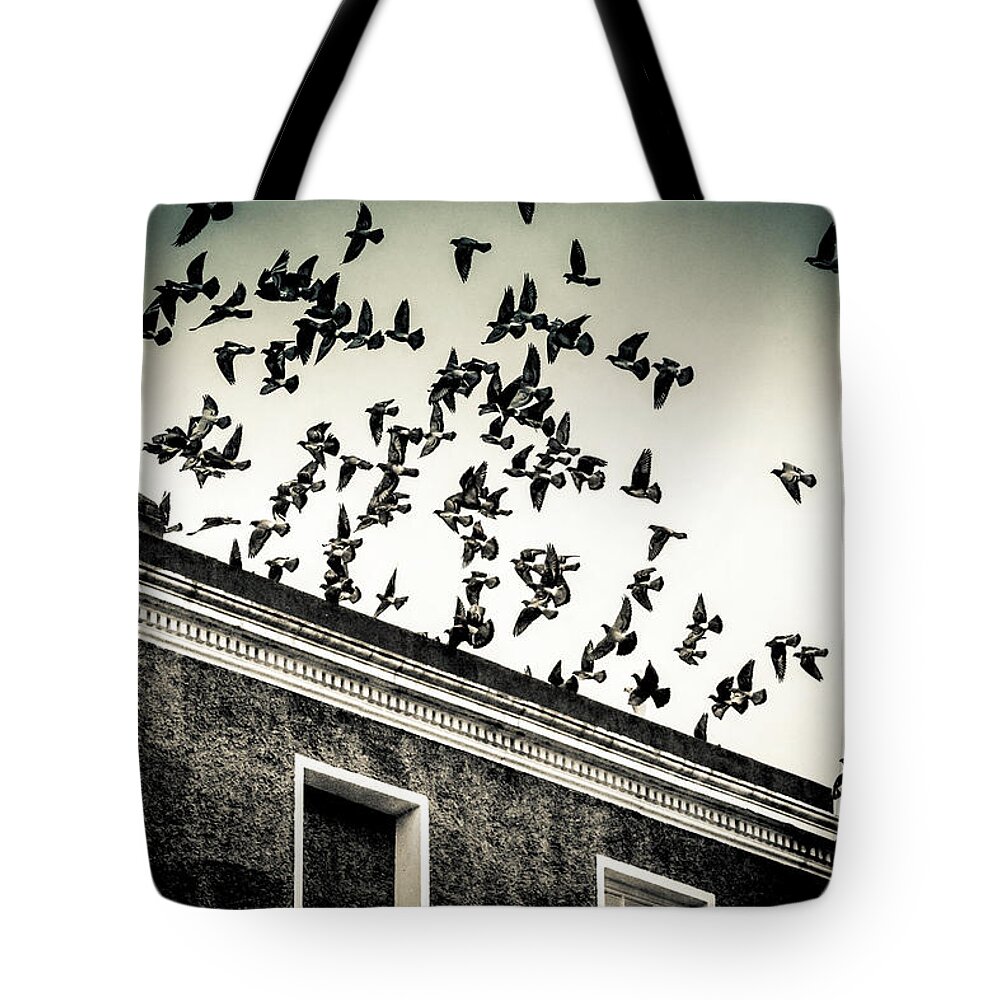 Pigeons Tote Bag featuring the photograph Flight over Oscar Wilde's hood, Dublin by Jennifer Wright