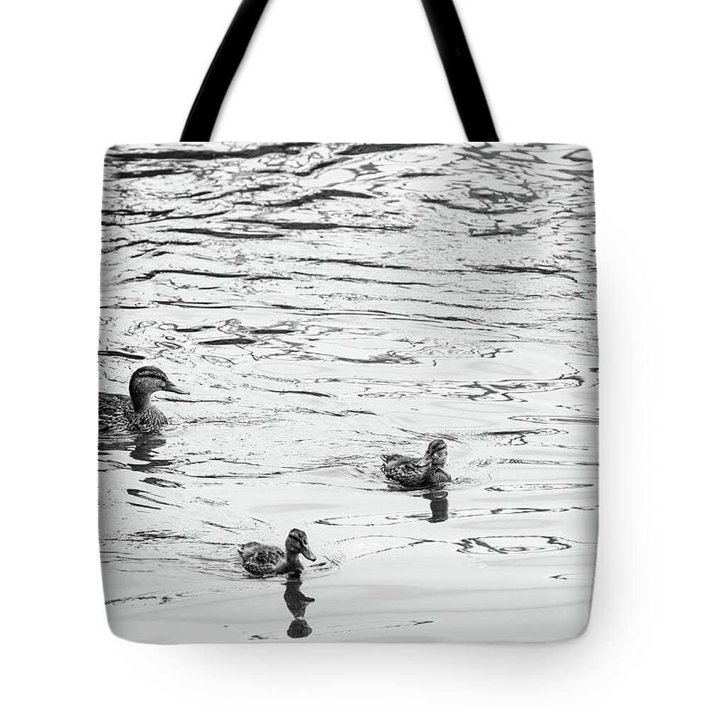 Babies Tote Bag featuring the photograph Duck and Ducklings by SR Green