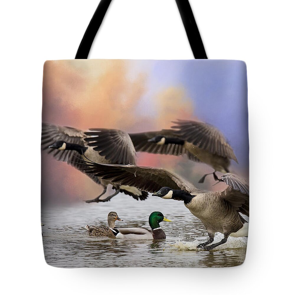 Canada Geese Tote Bag featuring the photograph Duck Ducks 2 by Randy Hall
