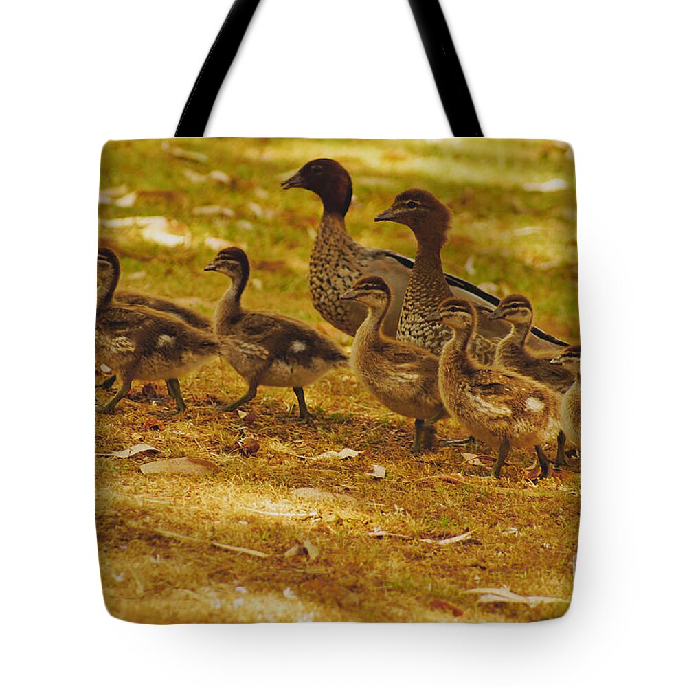 Duck Tote Bag featuring the photograph Duck Family II by Cassandra Buckley