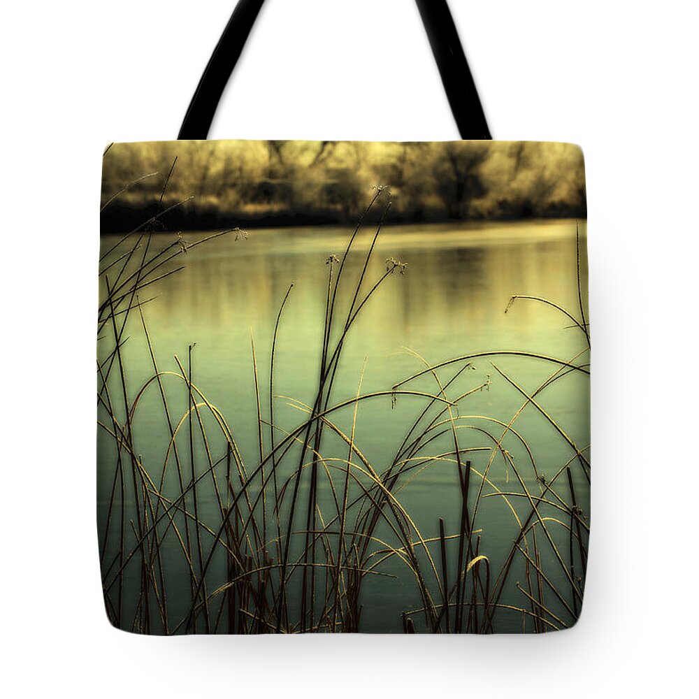 Hoar Frost Tote Bag featuring the photograph Early Morning Duck Hunting by Marilyn Hunt