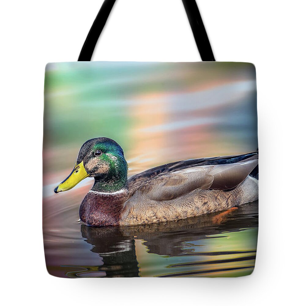 Duck Tote Bag featuring the photograph Duck in water with Autumn colors by Patrick Wolf