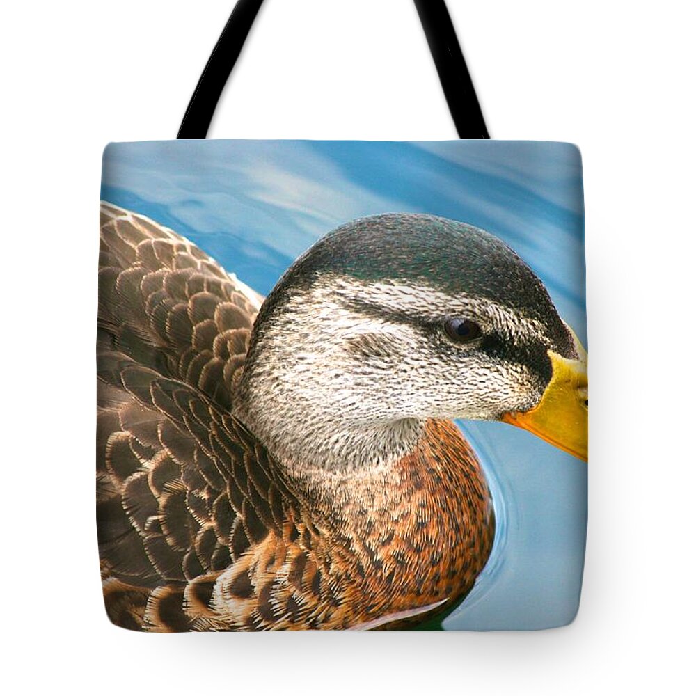  Tote Bag featuring the photograph Duck with Yellow Beard by Polly Castor
