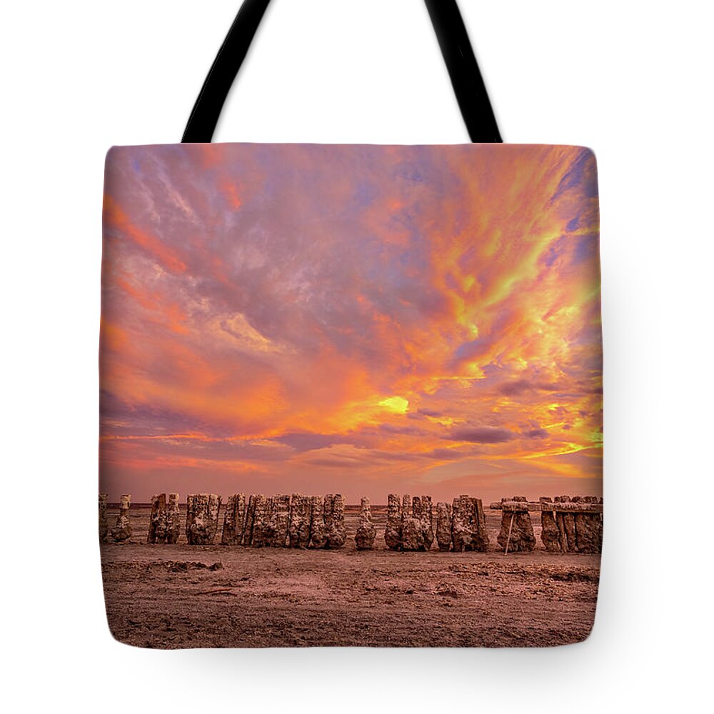 Abandoned Tote Bag featuring the photograph Ducks in a Row by Peter Tellone