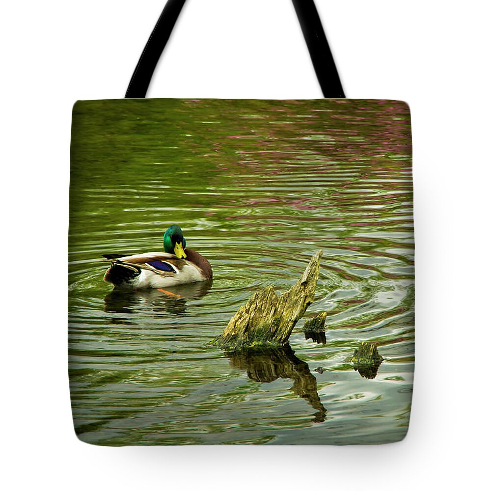 Photography Tote Bag featuring the photograph Ducks Life by Steven Clark