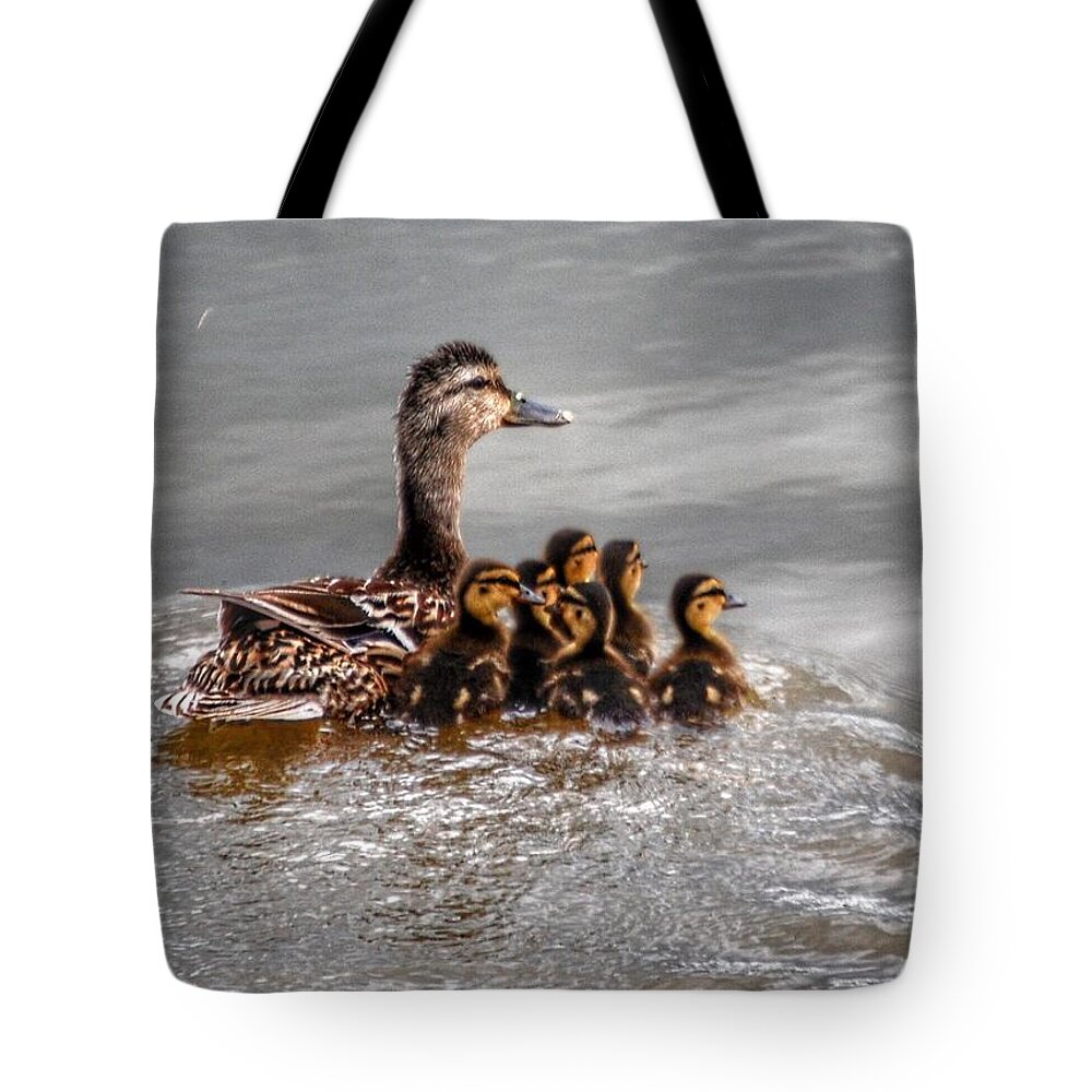 Ducks Tote Bag featuring the photograph Ducky Daycare by Sumoflam Photography