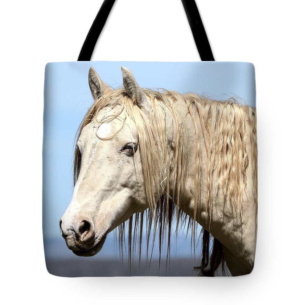 Palomino Wild Stallion Tote Bag featuring the photograph Twisted Locks by Debra Sabeck