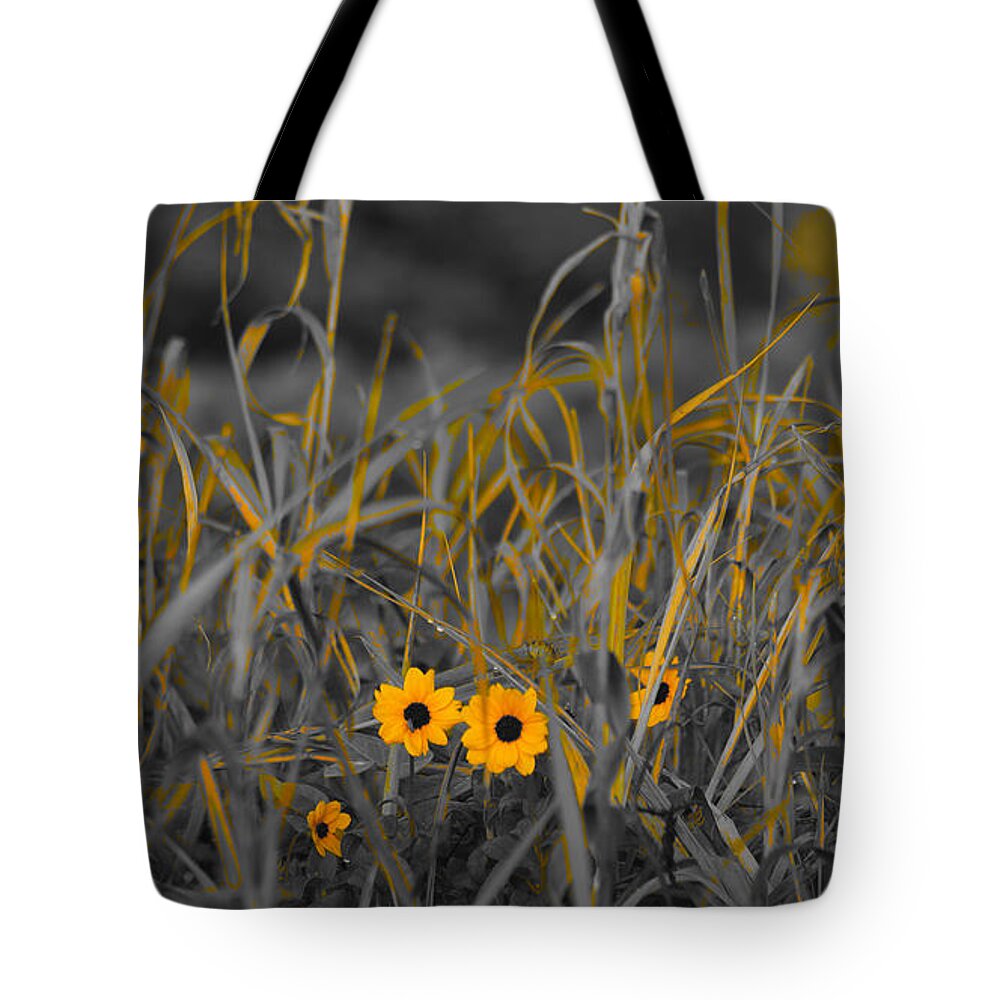 Florida Tote Bag featuring the photograph Dune Grass Daisies Delray Beach Florida by Lawrence S Richardson Jr