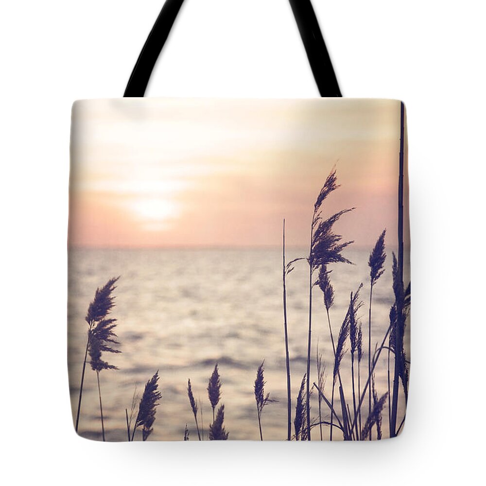 Dune Grass Tote Bag featuring the photograph Dune Grass in the Sunset by Debra Fedchin