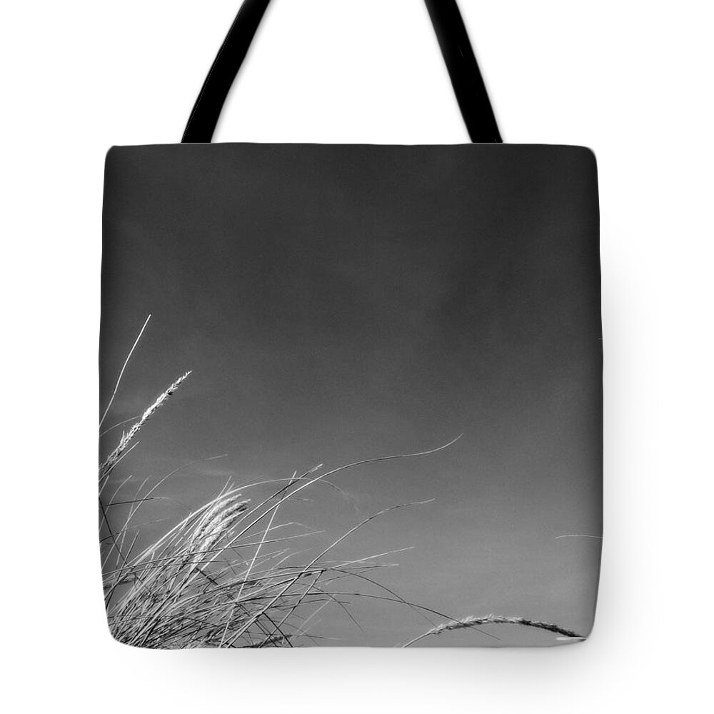 Beach Tote Bag featuring the photograph Dune Grass with Sky by Michelle Calkins