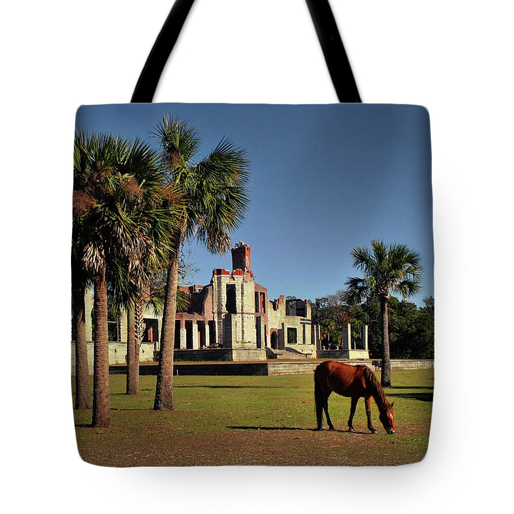 Cumberland Island Tote Bag featuring the photograph Dungeness by Jessica Brawley