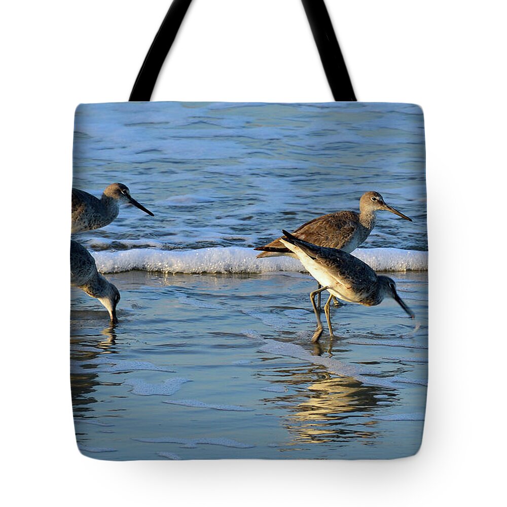 Jekyll Island Tote Bag featuring the photograph Dunking Willets by Bruce Gourley