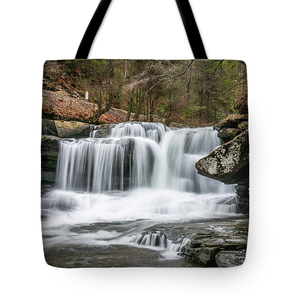 Dunloup Creek Falls Tote Bag featuring the photograph Dunloup Creek Falls by Chris Berrier
