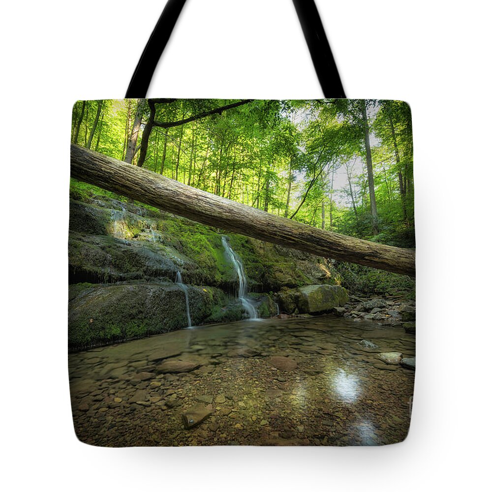 Dunnfield Creek Tote Bag featuring the photograph Dunnfield Creek by Michael Ver Sprill