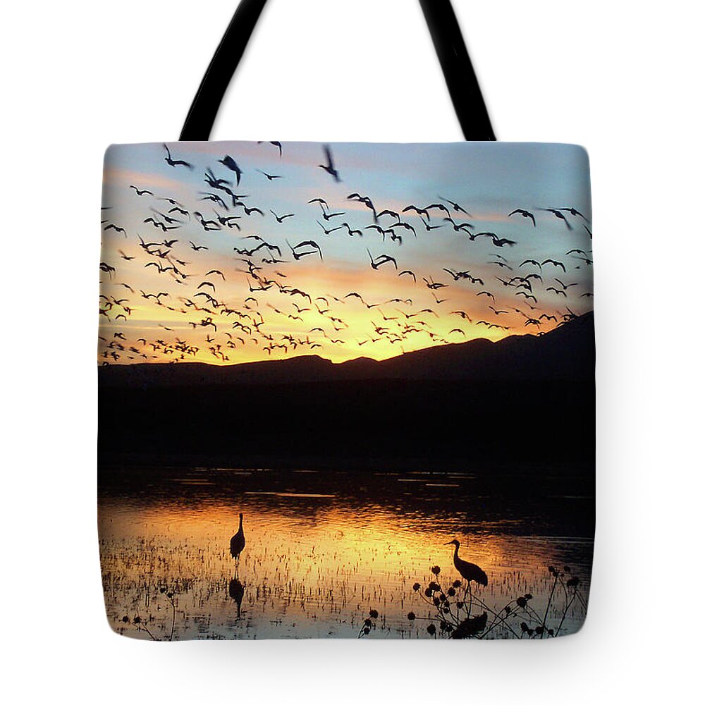 Water Tote Bag featuring the photograph Dusk at Bosque del Apache by Jerry Griffin