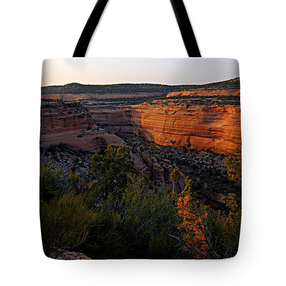 Colorado National Monument Tote Bag featuring the photograph Dusk at Colorado National Monument by Larry Ricker
