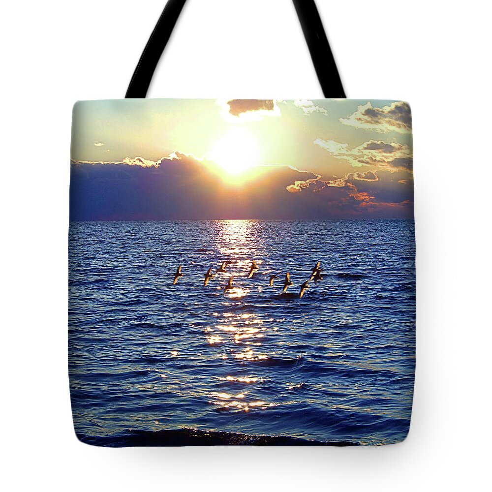 Piping Plover Tote Bag featuring the photograph Dusk I I I by Newwwman