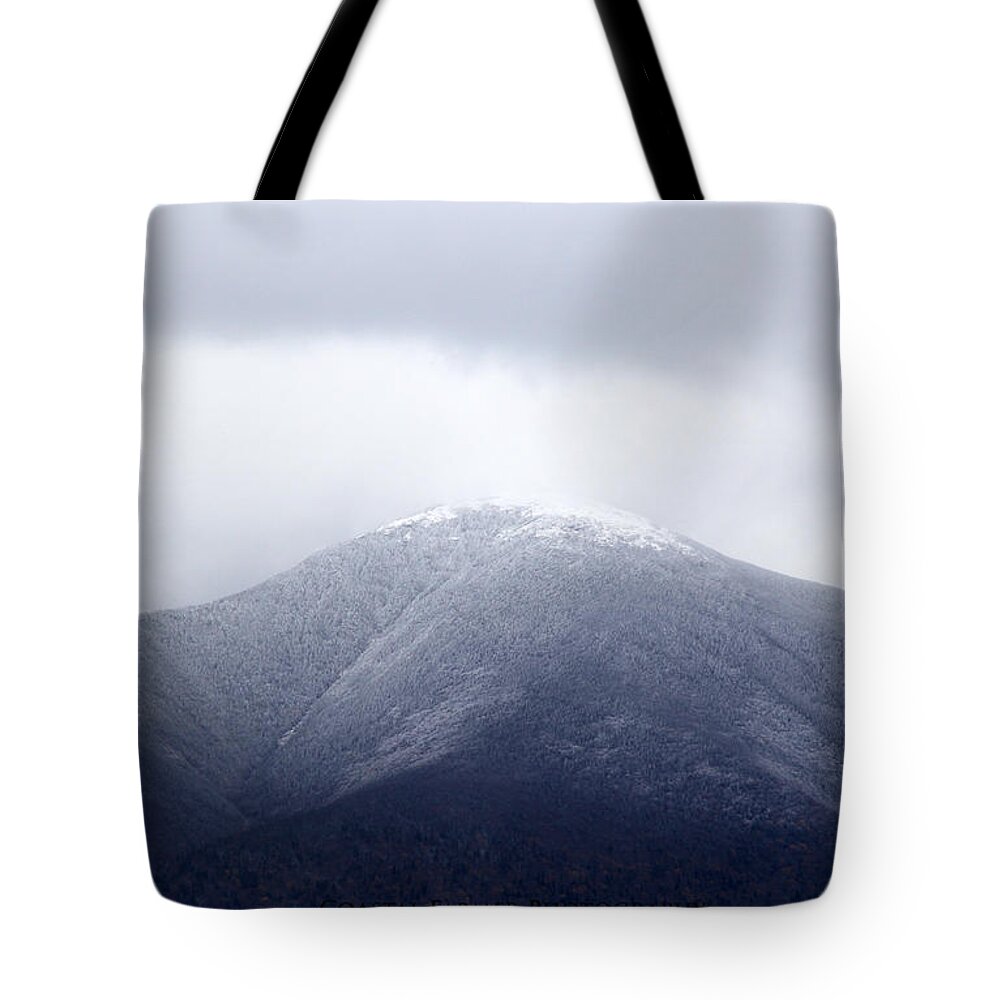 Nature Tote Bag featuring the photograph Dusting by Becca Wilcox