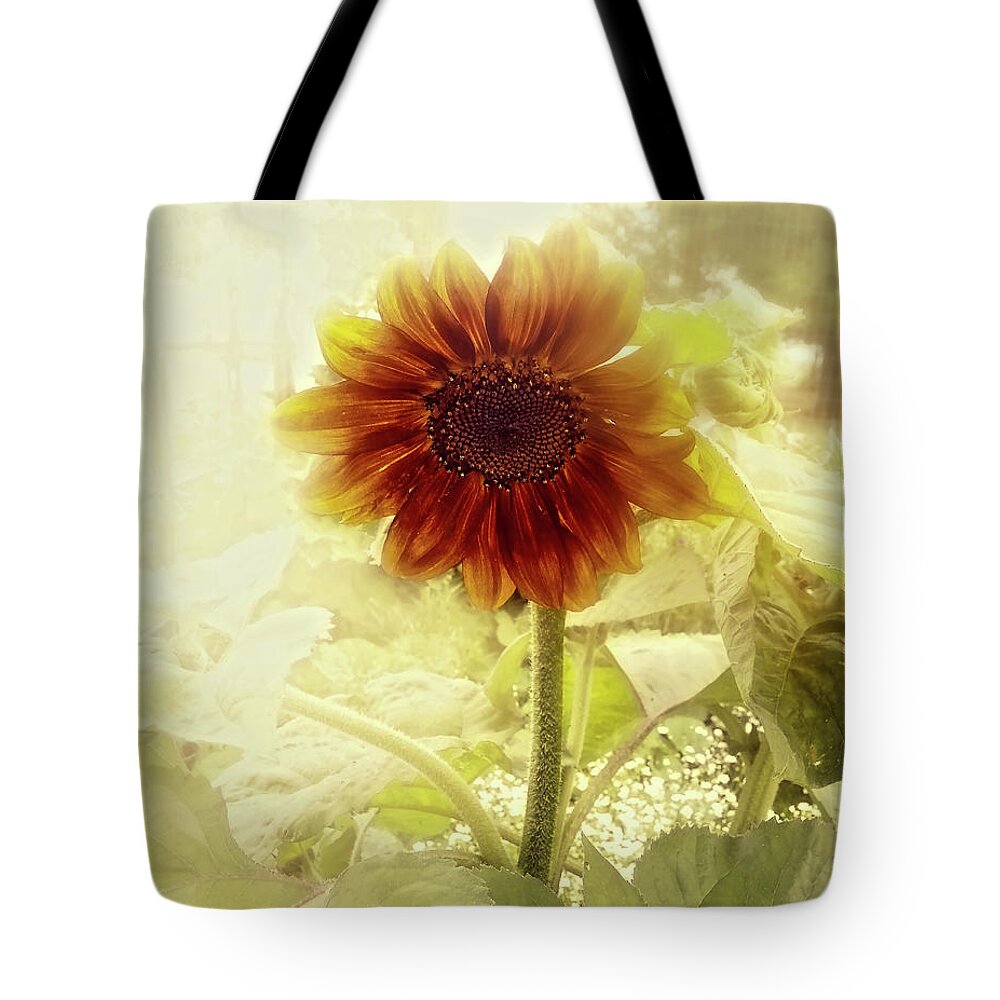 Sunflower Tote Bag featuring the photograph Dusty Retro Sunflower by Amanda Smith