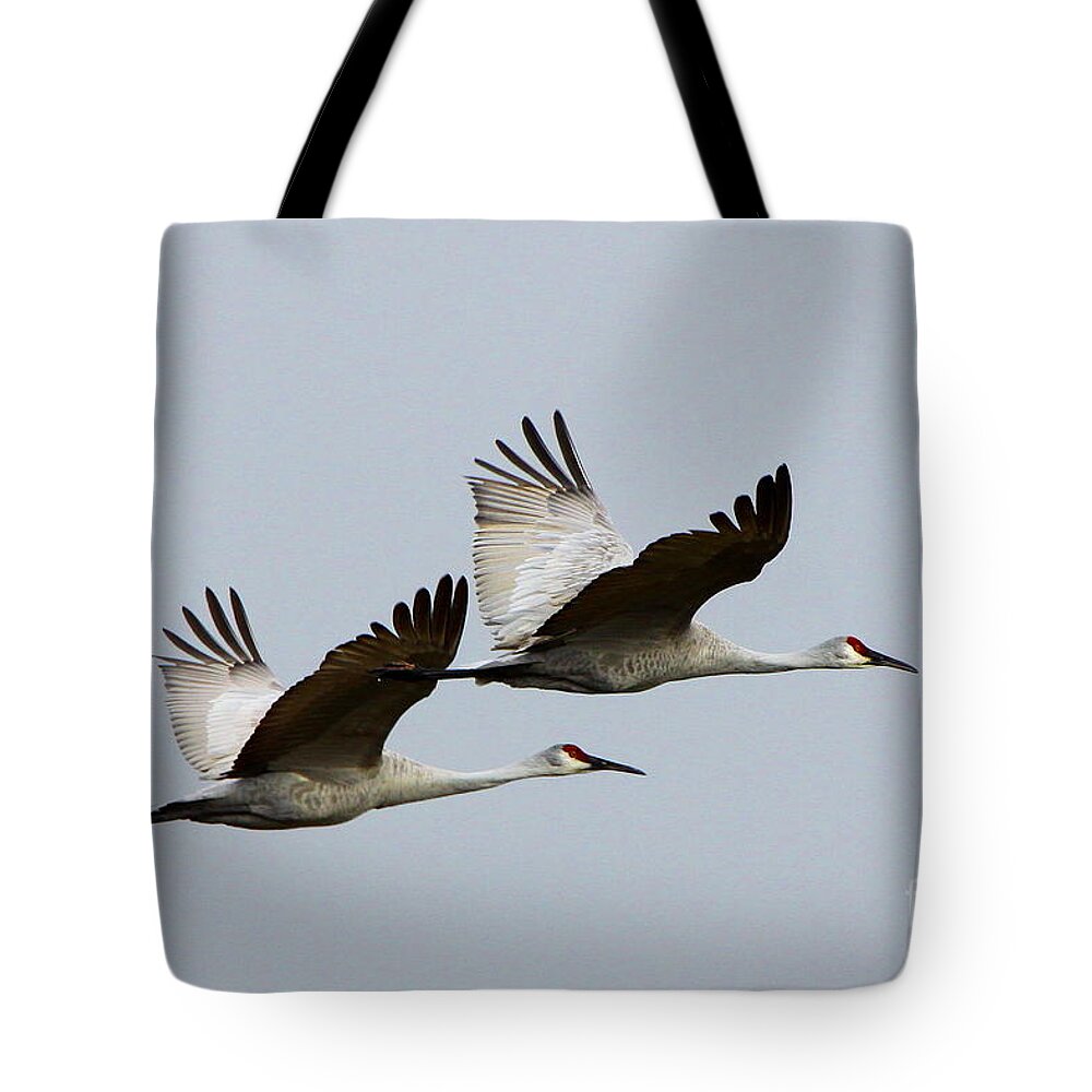 Sandhill Crane Tote Bag featuring the photograph Dynamic Duo by Barbara Bowen