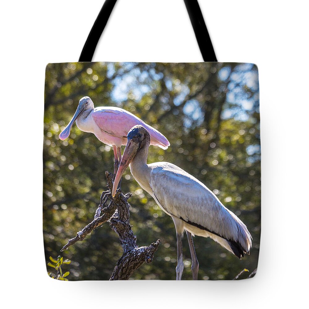 Roseate Spoonbill Tote Bag featuring the photograph Dynamic Duo by Patricia Schaefer