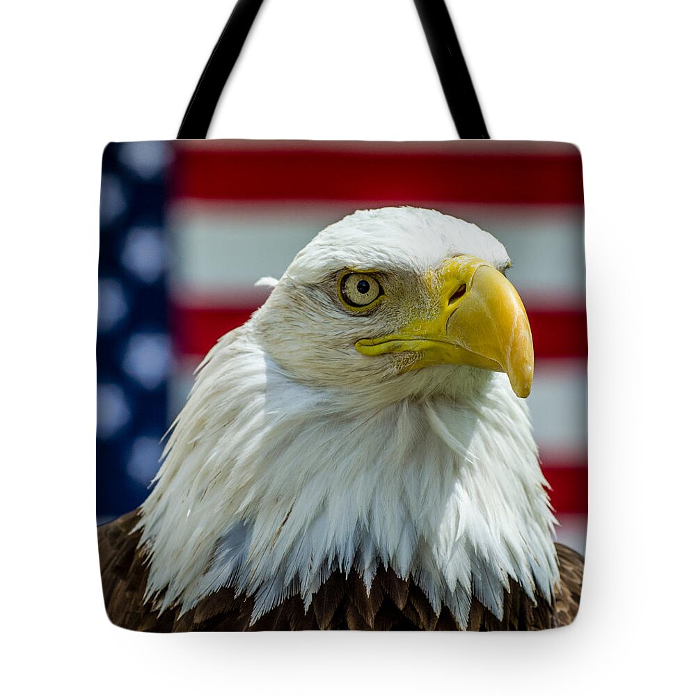 Cameron Knudsen Tote Bag featuring the photograph Eagle 6 by Cameron Knudsen