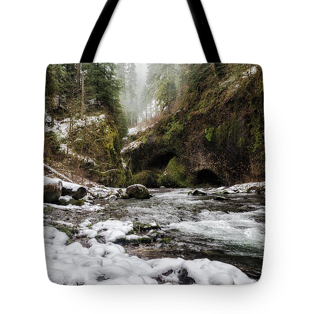 Eagle Creek Trail Tote Bag featuring the photograph Eagle Creek Trail in Winter by Belinda Greb