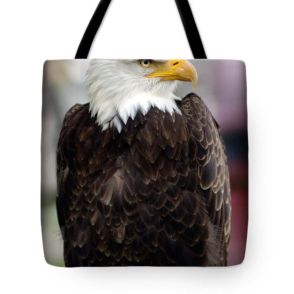 Eagle Tote Bag featuring the photograph Eagle by Doug Gibbons