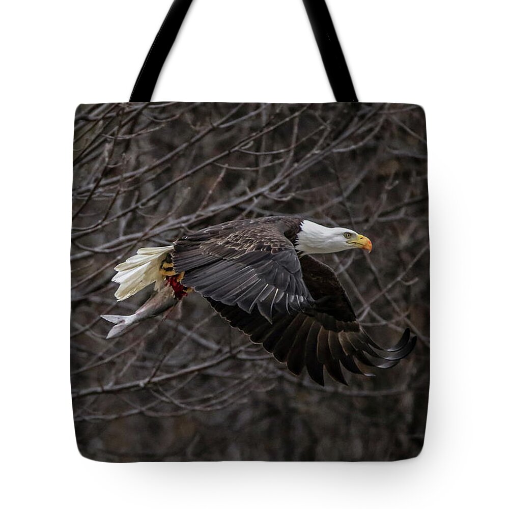 Bald Eagle Tote Bag featuring the photograph Eagle Fisher by Ray Congrove