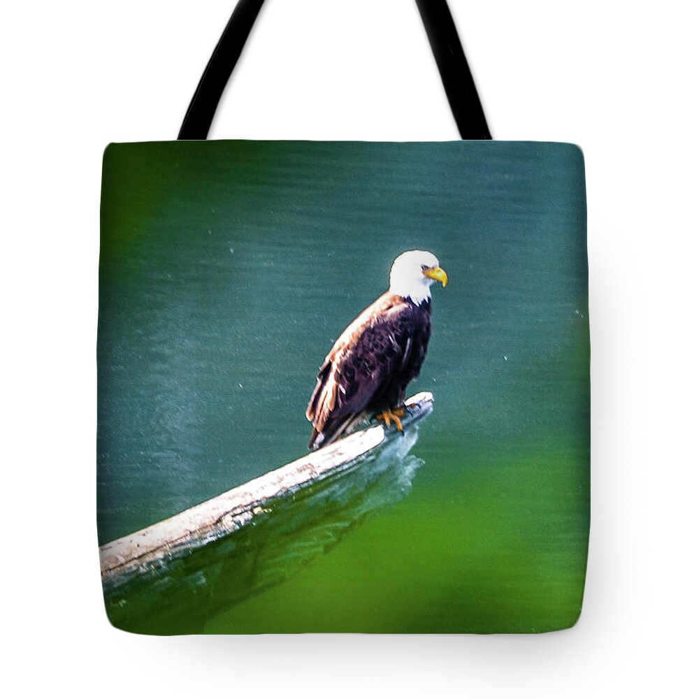 Eagle Tote Bag featuring the photograph Eagle in Lake by Chuck Brown