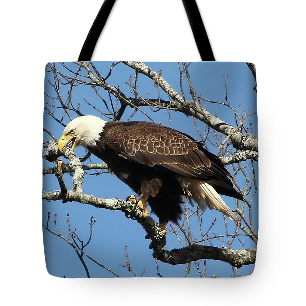 Eagle Tote Bag featuring the photograph Eagle Nest Building by TnBackroadsPhotos