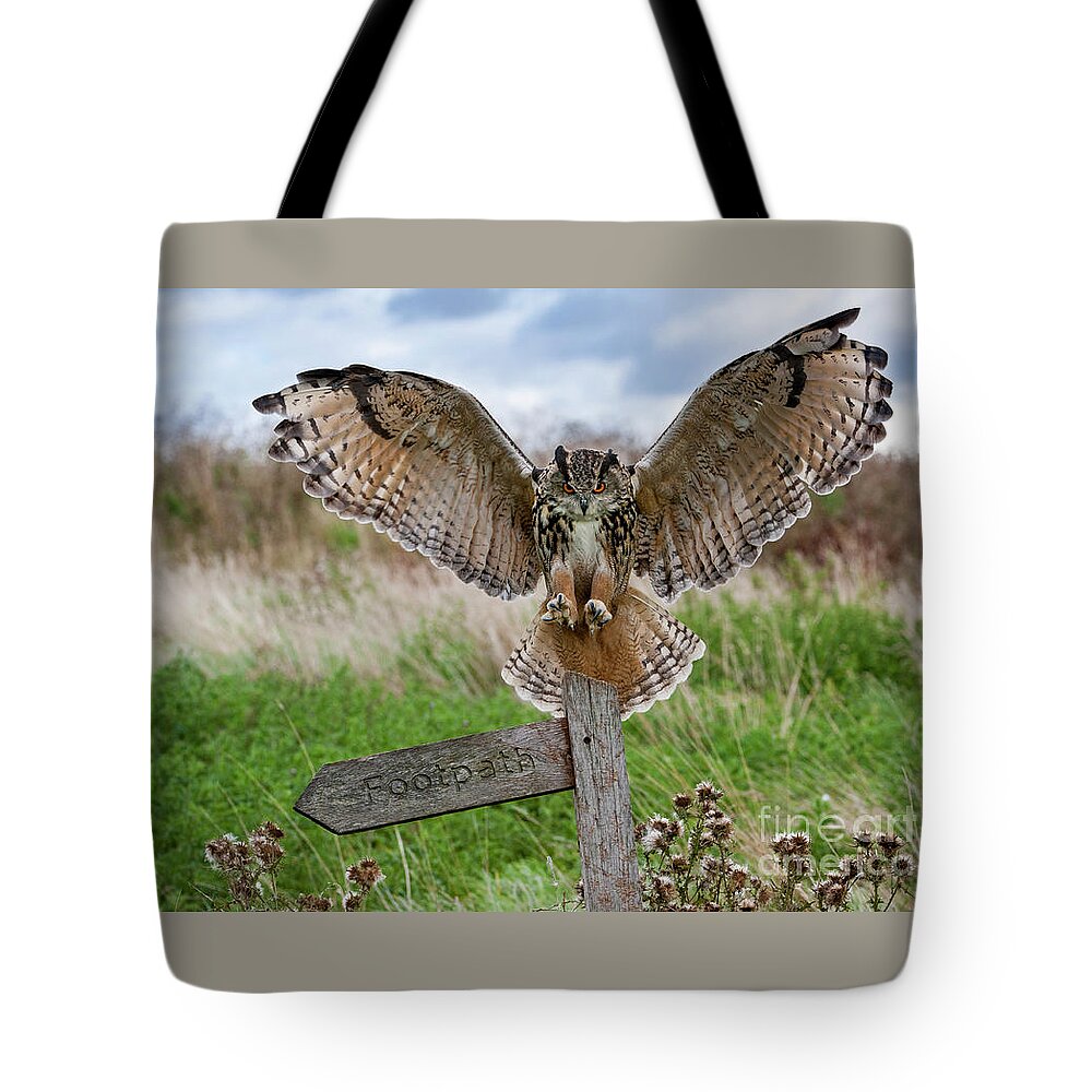 Eurasian Eagle-owl Tote Bag featuring the photograph Eagle Owl on Signpost by Arterra Picture Library