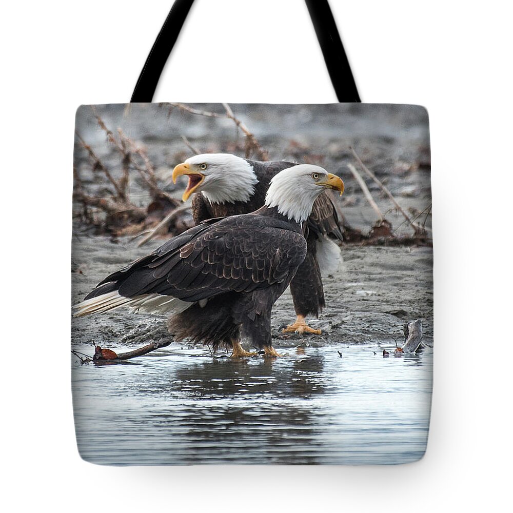 Bald Eagle Tote Bag featuring the photograph Eagle Pair by David Kirby