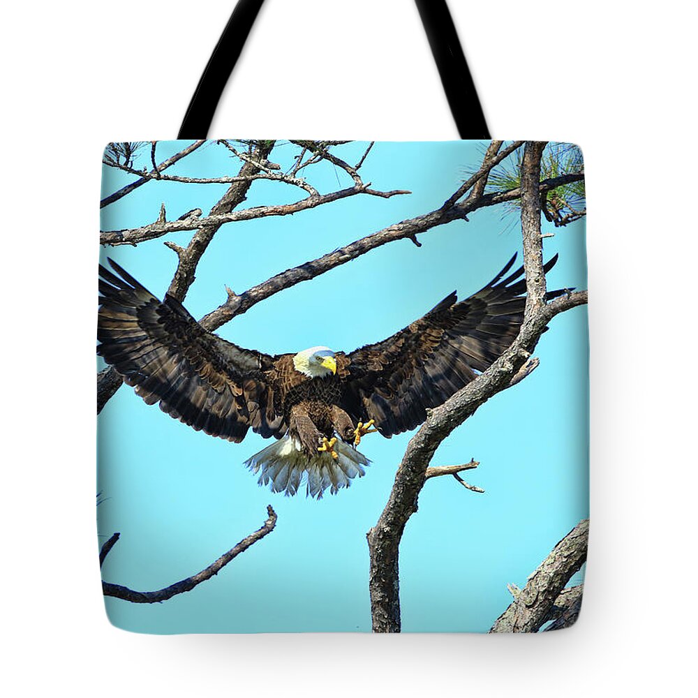 Eagle Tote Bag featuring the photograph Eagle Series Wings by Deborah Benoit