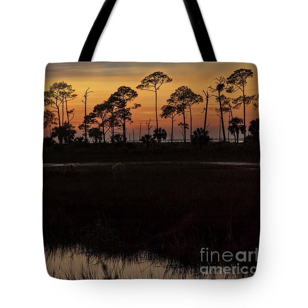 Sunsets Tote Bag featuring the photograph Eagles Nest Sunset at Saint Marks by DB Hayes