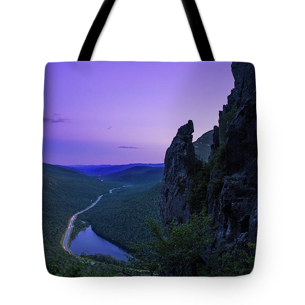 Eaglet Tote Bag featuring the photograph Eaglet Blue Hour by White Mountain Images