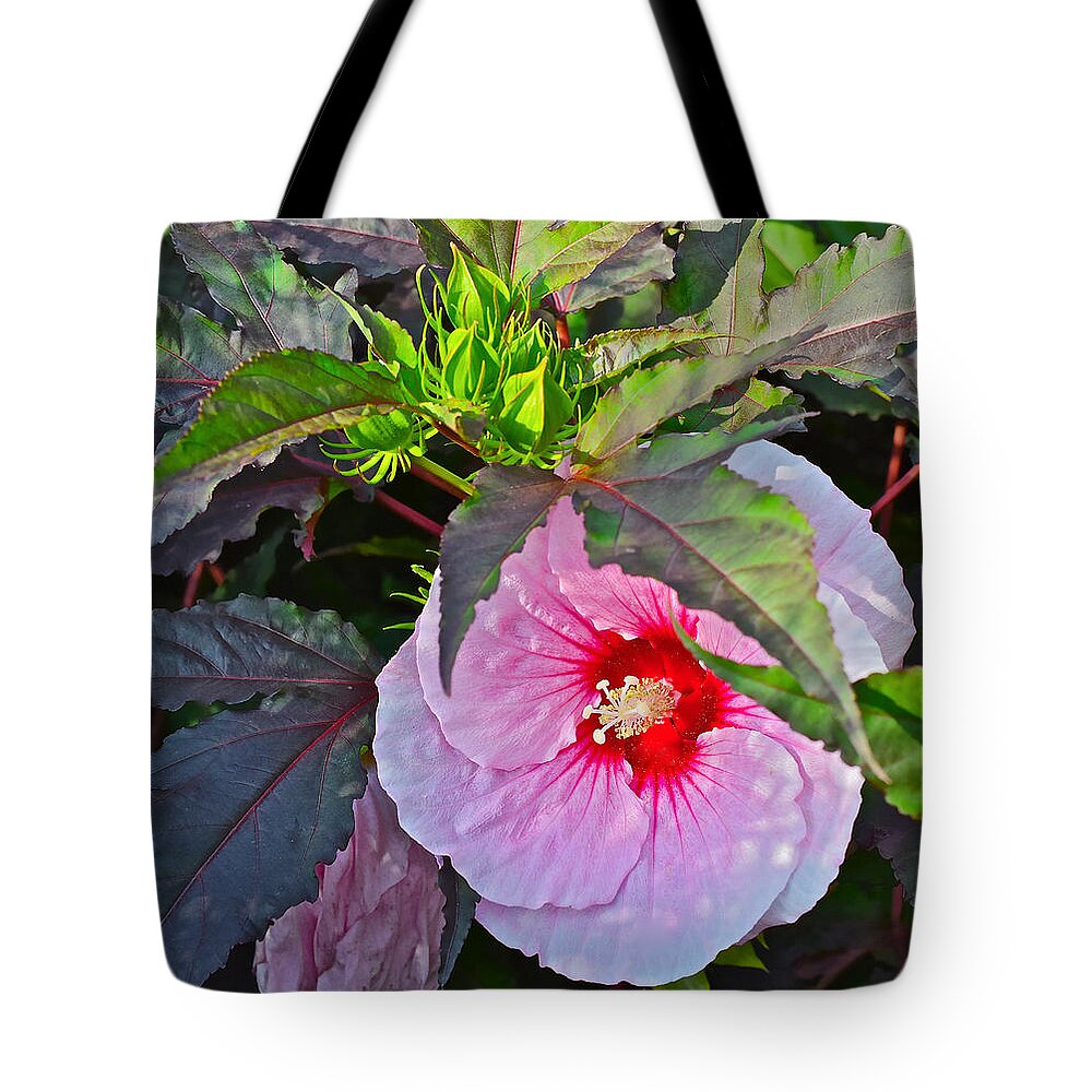 Hibiscus Tote Bag featuring the photograph Early August Hibiscus 2 by Janis Senungetuk