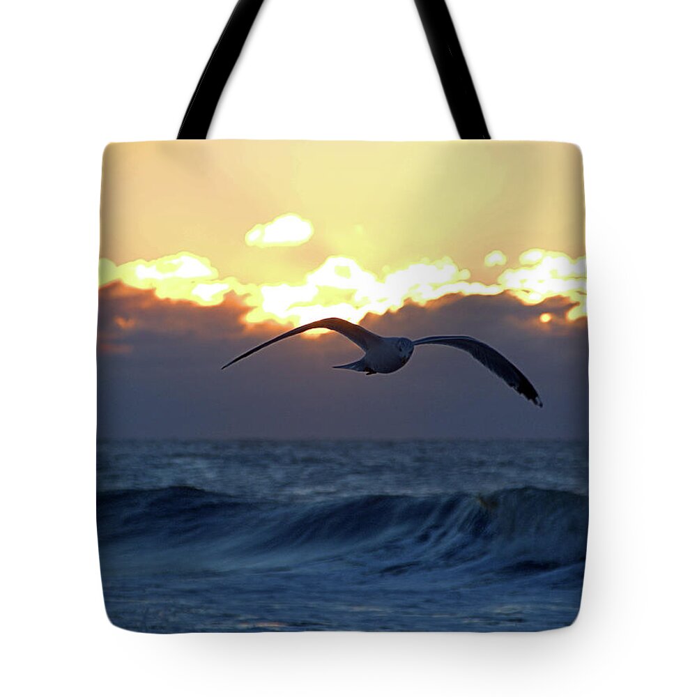 Seas Tote Bag featuring the photograph Early Bird by Newwwman