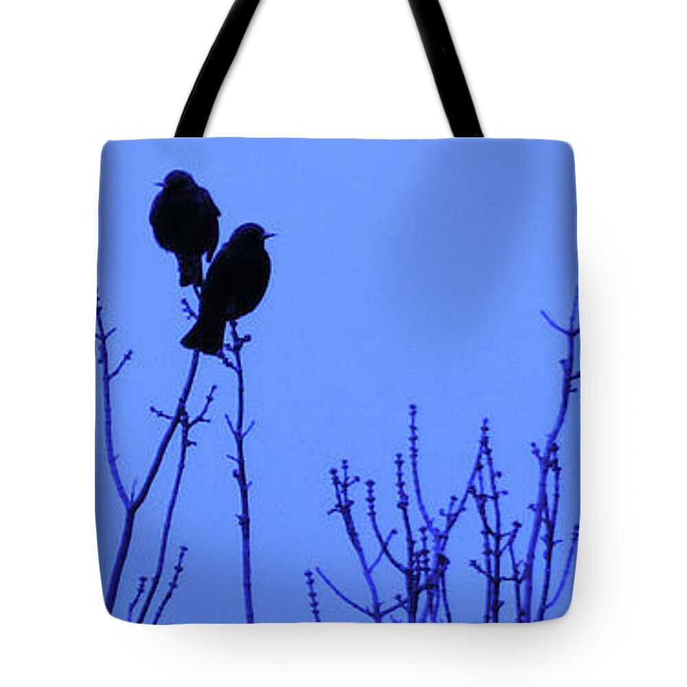 Birds Tote Bag featuring the photograph Early Birds by Mark Blauhoefer