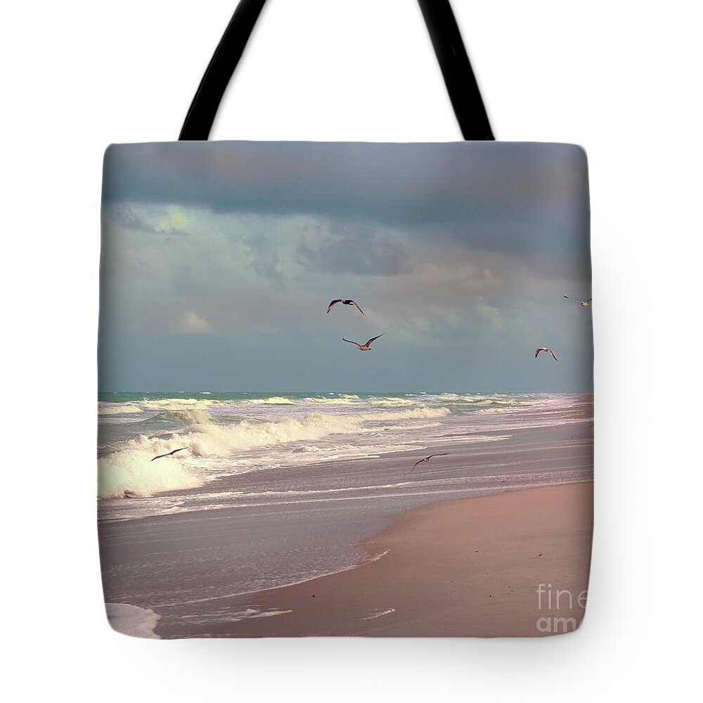 Beach Tote Bag featuring the photograph Early Evening by Megan Dirsa-DuBois