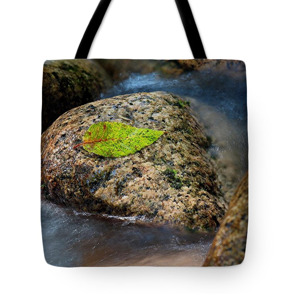 New England Fall Foliage Tote Bag featuring the photograph Early Fall by Juergen Roth