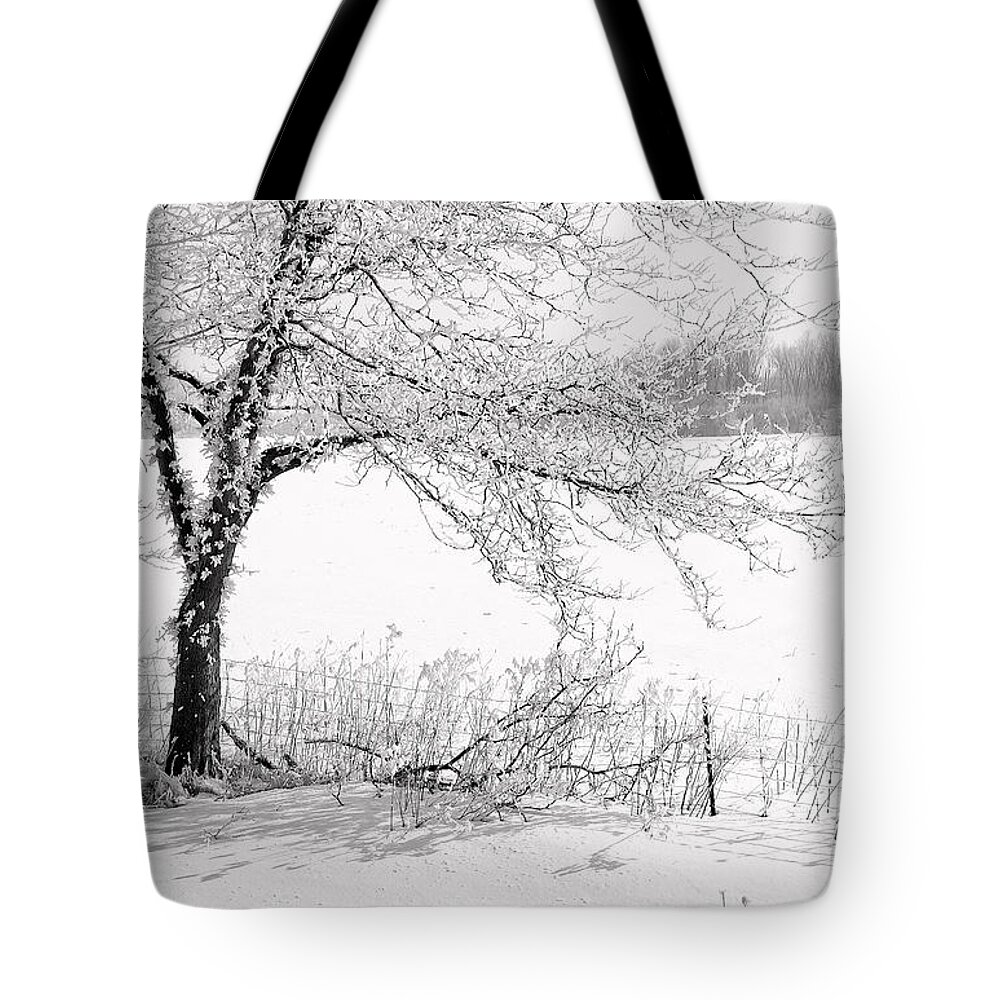 Canada Tote Bag featuring the photograph Early Frost by Doug Gibbons